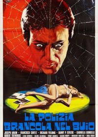 Полиция блуждает в потемках (1975)