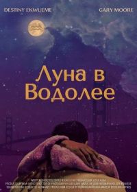 Луна в Водолее (2024)