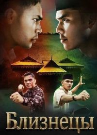 Близнецы (2024)