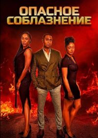 Опасное соблазнение (2024)