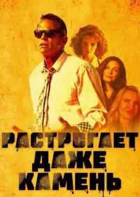 Растрогает даже камень (2025)