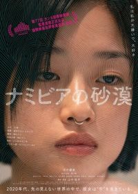 Пустыня Намибии (2024)