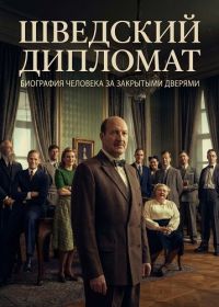 Шведский дипломат (2026)