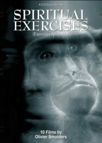 Любитель (1996)