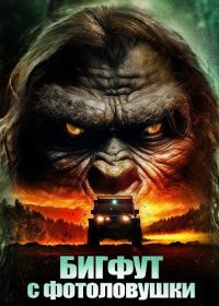 Бигфут с фотоловушки (2025)