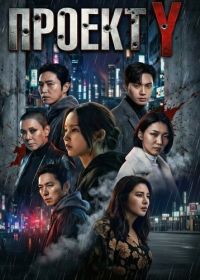 Проект Y (2025)
