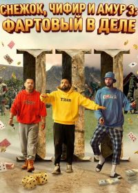 Снежок, Чифир и Амур 3: Фартовый в деле (2025)