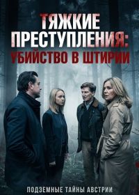 Тяжкие преступления: убийство в Штирии (2024)