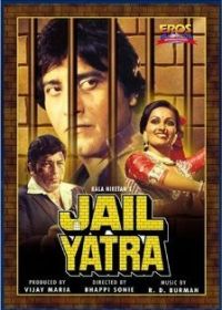 Тюремное заключение (1981)