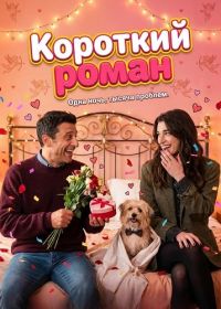 Короткий роман (2025)