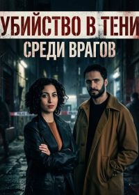 Убийство в тени: Среди врагов (2025)