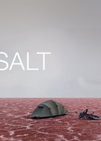 Соль (2009)