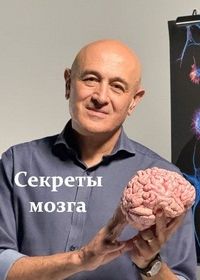 Секреты мозга (2025)