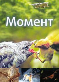 Момент (2016)