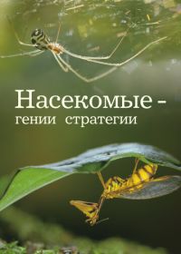Насекомые - гении стратегии (2021)