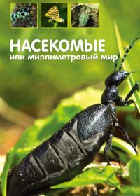 Насекомые, или Миллиметровый мир (2014)