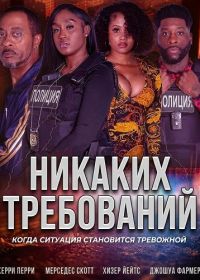 Никаких требований (2025)