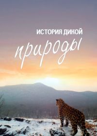 История дикой природы (2020)