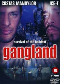 Зона криминала (2001)