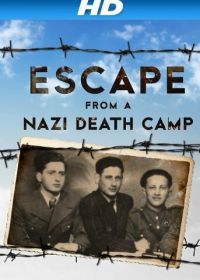 Побег из нацистского лагеря смерти (2014)