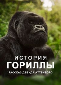 История гориллы: Рассказ Дэвида Аттенборо (2026)