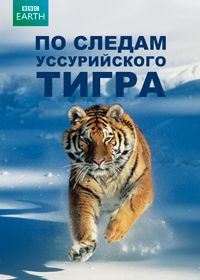 По следам уссурийского тигра (2013)