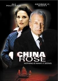 В поисках сына (1983)