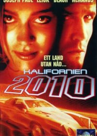 Рыцарь дорог 2010 (1994)