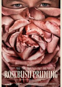 Подрезка кустов роз (2026)