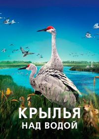 Крылья над водой (2022)