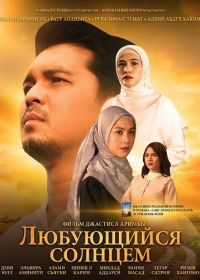 Любующийся солнцем (2025)