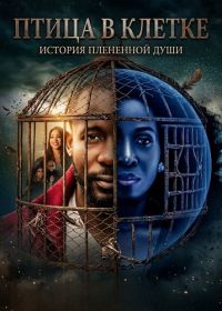 Птица в клетке (2024)