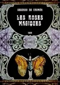 Магия роз (1906)