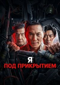 Я под прикрытием (2026)